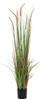 Kunstige planter, Europalms Fountain grass, artificial, 120cm