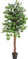 Artificial plants, Europalms Ficus Tree Multi Trunk, artificial plant, 150cm