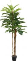 Artificial plants, Europalms Kentia palm tree, artificial plant, 180cm