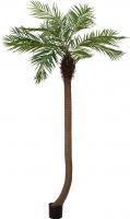 Artificial plants, Europalms Phoenix palm tree luxor curved, artificial plant, 240cm