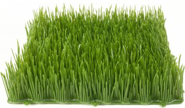 Europalms Artificial grass tile, sun, 25x25cm