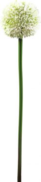 Europalms Allium spray, artificial, cream, 55cm