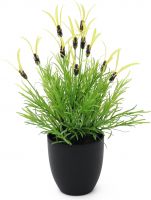 Europalms Feather lettuce, artificial, 40cm