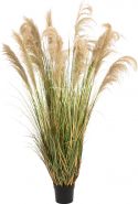 Artificial plants, Europalms Chinese silvergrass, artificial, 180cm