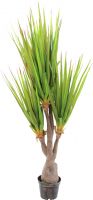 Decor & Decorations, Europalms Sabre-tooth century plant, artificial plant, 185cm