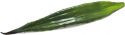 Artificial flowers, Europalms Aloe leaf (EVA), artificial, green, 60cm