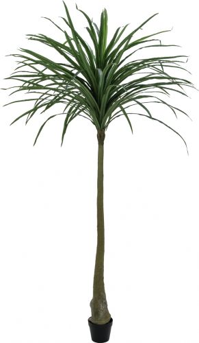 Europalms Dracena, green, artificial,  220cm