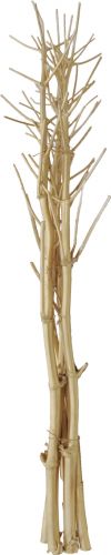 Europalms Fennel bunch, dried, gold, 160cm