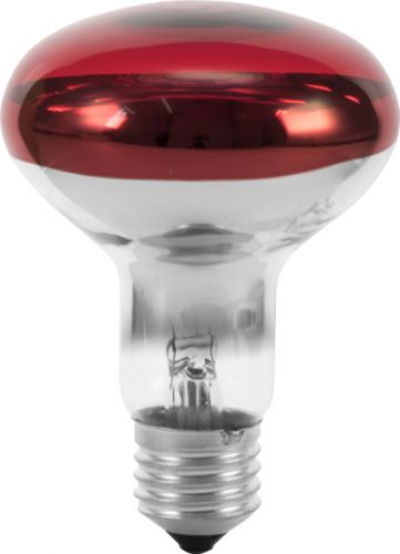 Omnilux R80 230V/60W E-27 red