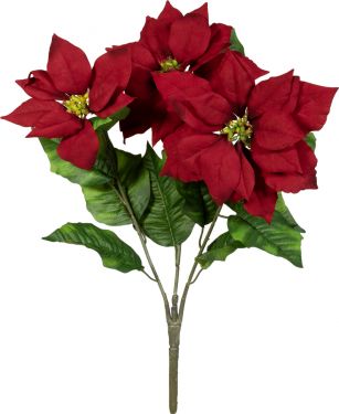 Europalms Poinsettia bush, red, 50cm