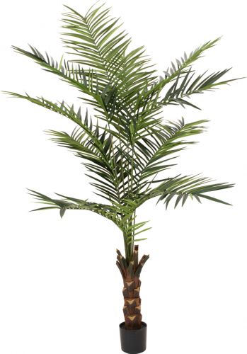 Europalms Kentia palm tree, artificial plant, 240cm