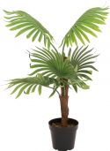 Diverse, Europalms Fan palm, artificial plant, 88cm