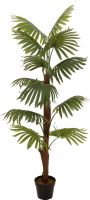 Diverse, Europalms Fan palm, artificial plant, 155cm