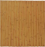 Europalms Wallpanel, bamboo, 100x100cm