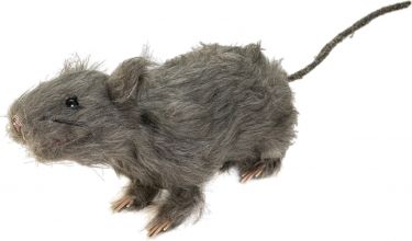 Europalms Rat, lifelike with coat 30cm