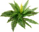 Europalms Boston Fern, artificial plant,53cm