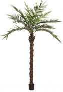 Decor & Decorations, Europalms Kentia palm tree deluxe, artificial plant, 300cm