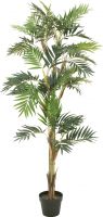 Diverse, Europalms Parlor palm, artificial plant, 150cm