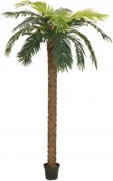 Decor & Decorations, Europalms Phoenix palm deluxe, artificial plant, 250cm