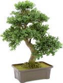 Decor & Decorations, Europalms Bonsai, artificial plant, 61 cm