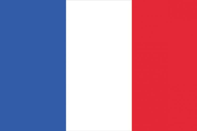 Europalms Flag, France, 600x360cm