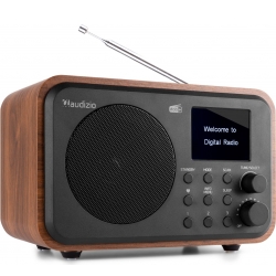 DAB Radio 'Luxus- og Transportabel Radio' DAB/DAB+/FM/Bluetooth modtager og højt