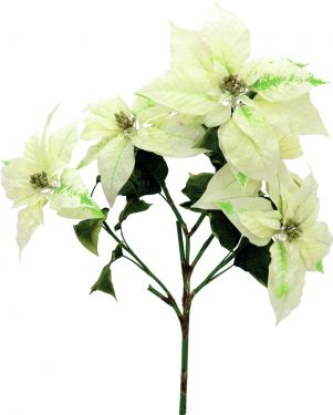 Europalms Poinsettia bush, cream, 60cm