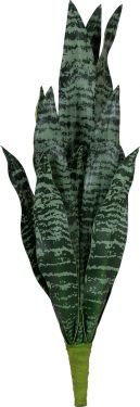 Europalms Snake Tongue (EVA), artificial, green, 60cm