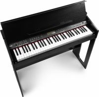 RhapsodyDP61 Digital Piano 61-keys with Furniture Stand