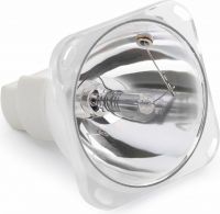 Bulb MSD230 TIGER E 7R