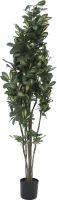 Decor & Decorations, Europalms Schefflera, artificial,120cm