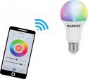 Diverse, Omnilux LED E27 RGB/WW/CW WiFi