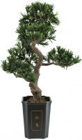 Europalms Bonsai podocarpus, artificial plant, 80cm