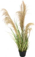 Udsmykning & Dekorationer, Europalms Chinese silvergrass, artificial, 110cm