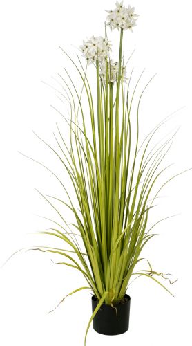 Europalms Allium grass, artificial plant, white, 120 cm