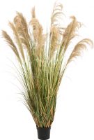 Europalms Chinese silvergrass, artificial, 180cm