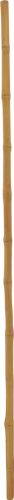 Europalms Bamboo tube, Ø=3cm, 200cm