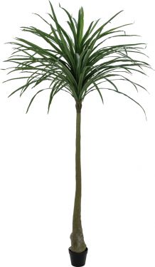 Europalms Dracena, green, artificial, 220cm