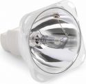 Bulb MSD230 TIGER E 7R Bulb MSD230 TIGER E 7R