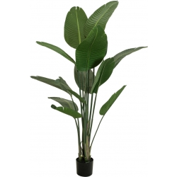 Europalms Strelitzia, artificial plant, 170cm TILBUD NU