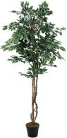 Europalms Variegated Ficus, artificial plant, 180cm Europalms Variegated Ficus, artificial plant, 180cm