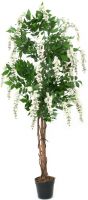 Decor & Decorations, Europalms Wisteria, artificial plant, white, 180cm