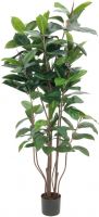 Europalms Rubber tree, artificial plant, 150cm