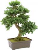 Decor & Decorations, Europalms Bonsai, artificial plant, 61 cm
