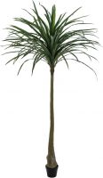 Europalms Dracena, green, artificial, 220cm