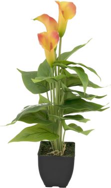 Europalms Mini Calla, artificial plant, yellow-orange, 43cm