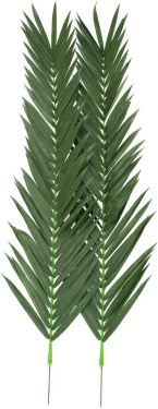 Europalms Coconut king palm branch, artificial, 210cm