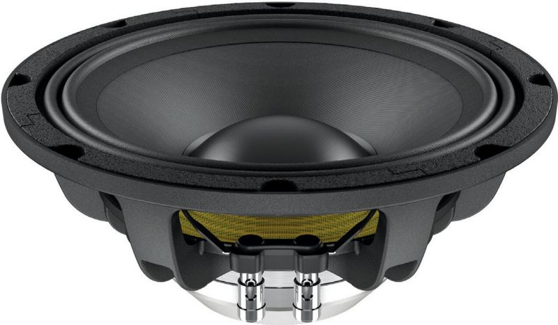 Lavoce WAN103.01 10" Woofer Neodymium Magnet Aluminium Basket Driver