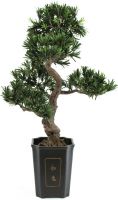 Udsmykning & Dekorationer, Europalms Bonsai Podocarpus, artificial plant, 80cm