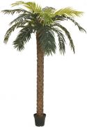 Europalms Phoenix palm deluxe, artificial plant, 300cm